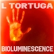 L Tortuga - Bioluminescence