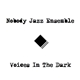 Nobody Jazz Ensemble - Voices In The Dark