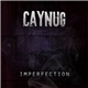 Caynug - Imperfection